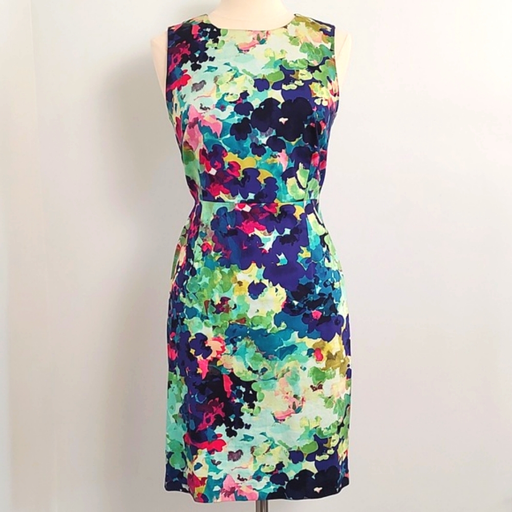Covington Womens Sleeveless Floral Fitted w/Stretch Dress/Size 6